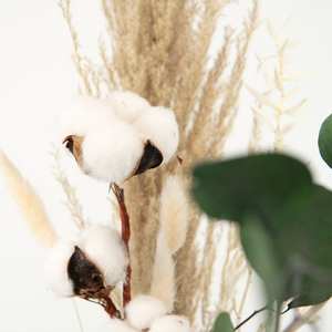 Every Love Arreglo duradero <span class=keywords><strong>Pampas</strong></span> Ramo de flores <span class=keywords><strong>Chic</strong></span> Flores secas Opp Bag Respetuoso con el medio ambiente Decoración interior al aire libre - Product Image 5