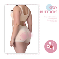 Venta al por mayor de alta compresión después de la cirugía Butt Lifter Shaper BBL Faja Prendas Colombianas Pantalones cortos Bragas de control de estilo diario