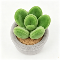 Vente en gros de poupées en peluche Kawaii en forme de plantes avec membres et motifs brodés pour la décoration de chambre