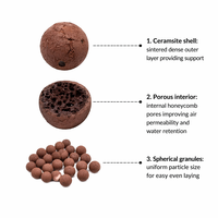 Vente en gros OEM – Gravier d'argile expansée (LECA) personnalisé avec logo, céramique expansée pour culture hydroponique, idéal pour le dropshipping