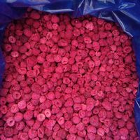 Gedroogd fruit: aardbei, framboos, mango, jackfruit, vijg, kiwi, perzik, banaan, passievrucht, diverse knapperige gedroogde vruchten te koop