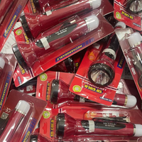 Bangladesh pakistan hotsale plastique énergie solaire batterie au lithium lampe torche à vendre