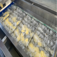 Commerciële apparatuur voor de productie van fruit- en groentechips, automatische productielijn voor het wassen, schillen, snijden en frituren van frieten