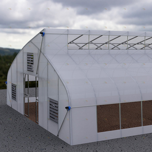 Khu vực nhiệt đới nông nghiệp trồng thủy canh đường hầm hàng đầu Vent sawtooth nhà kính cho rau - Product Image 5