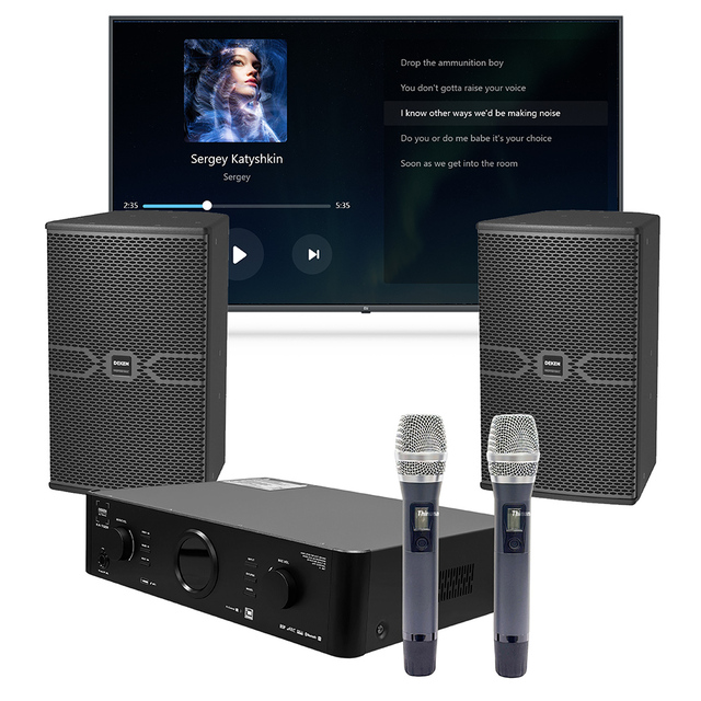 DEKEN CLUB X10 10 Inch Passive PA Speaker Full-Range Sound Entertainment Speaker for KTV, 700W Power, Wide 52Hz-23kHz Response