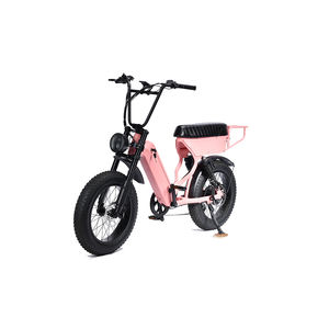 Vélo à pneus larges EU à suspension intégrale 250w/750w EBIKE 20 pouces Vélo de montagne rétro E-Bike pas cher tout-terrain X80 E-BIKE Usine Elektrische Fietsen - Product Image 5