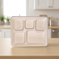 Assiettes jetables biodégradables et compostables à 5 compartiments, résistantes à l'huile et à l'eau, 100 % écologiques, pour le déjeuner et les fêtes