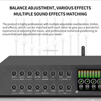 TNH KT-1/KTS-1 préamplificateur professionnel processeur d'écho processeur audio avec suppresseur de retour pour karaoké à domicile KTV