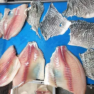 FGB-400 Fisch-Haut-Entfernungs maschine Fisch-Ent häutung maschine Tintenfisch Tilapia Fisch-Peeling-Reinigungs-Verarbeitung maschine