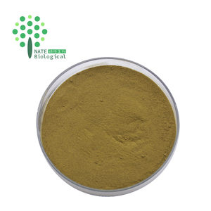 Suministro a granel de fábrica, extracto de Echinacea Purpurea, polifenoles 4%-7%, ácido chicórico 1%, 2%, 4%,20% - Product Image 4