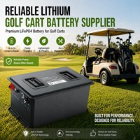 Baterai Golf Cart Lithium Andal Pabrik OEM 36V 48V 105Ah 150Ah 200Ah Kit Konversi Baterai LiFePO4 dengan Pengisi Daya Layar LCD