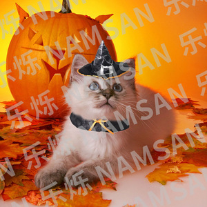 NAMSAN Halloween <b>Witch</b> <b>Hat</b> And Scarf Set For Cats Velvet Costume Decorative Fall Pet Clothes - Product Image 3
