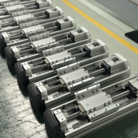 Module de vis à billes à haute rigidité Pi Factory Direct, rail de glissement linéaire, plateau à axe unique pour robot d'automatisation industrielle