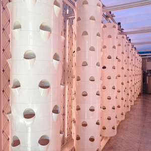 <span class=keywords><strong>Torre</strong></span> de Cultivo Hidropónico Automática Ytinghui con Bomba Modelo 005K para Cultivo en Agua Profunda y Riego por Goteo - Product Image 4
