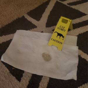 Letrero Divertido con Diseño de Vómito de Perro, Color Amarillo Brillante, PLA Ecológico, Letrero Personalizado para Jardín, Regalo - Product Image 6