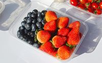 500ML Rectangle Transparent PP Emballage en plastique de qualité alimentaire Récipients à emporter micro-ondables et réfrigérables pour les fruits du déjeuner