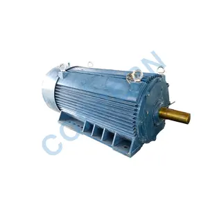 High Quality New HGP Crusher Motor Three-phase Asynchronous Motor
