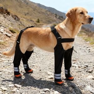 Botas Reflectantes Impermeables para Perros y Arnés con Tirantes para las Patas, Más Vendidas - Product Image 6
