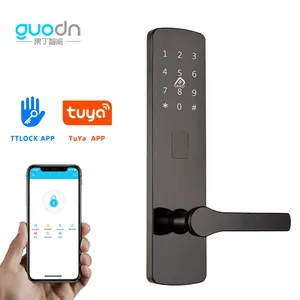 The most economic model SUS 304 panel smart security door lock suitable for apartment and home smart lock