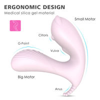 Großhandel Tragbarer Ferngesteuerter Vibrator für Frauen Eichhörnchen-Springei G-Punkt-Stimulator Fabrikpreis Anpassung OEM ODM