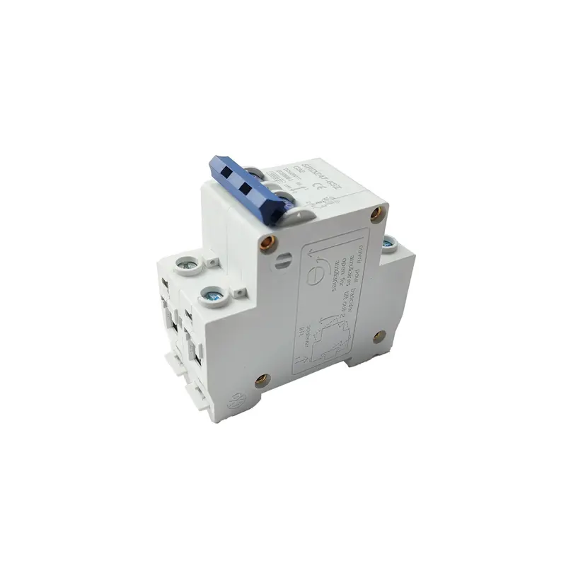 SRDZ47-63Z Leakage switch 2P DC1000V DC500V 10A 16A 20A 32A 40A 63A air switch leakage circuit breaker