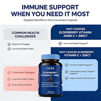 Suplemen Diet Vitamin C Zinc Elderberry OEM 3 in 1 Formula Imunitas Bebas Gluten 90 Kapsul Suplemen Elderberry