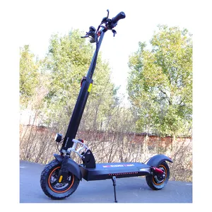 Venta caliente 800W Scooter eléctrico para adultos Potentes scooters de neumáticos de 10 pulgadas con asiento Mejor scooter eléctrico al por mayor