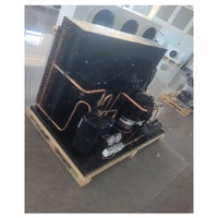 Sistema de Condensación de Descongelación por Gas Caliente para Almacenamiento de Refrigeración Industrial con Compresor Copeland/Bristol, Caja de Cambios y Rodamientos