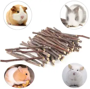 도매 작은 동물 몰 사과 나무 취급 장난감 자연 사과 나무 스틱 씹는 장난감 Hamersten 쥐