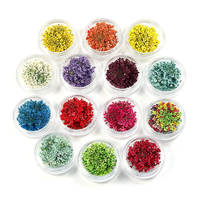 Fleurs séchées pressées multicolores en dentelle Gypsophila, fleurs séchées DIY Anne Blooms pour porte-clés en résine époxy, collier et artisanat