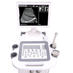 Máquina de Ultrasonido Tipo Carro Más Vendida de 2026, Analizador Completo de Piel para Humanos y Veterinarios con Tipos de Enchufe de la UE, IT, JP, EE. UU. y ZA - Product Image 3