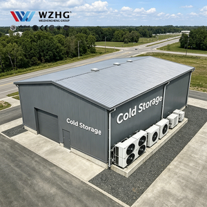 Almacén de Refrigeración Industrial con Estructura de Acero Q355b de Ahorro Energético, Suministro Directo para Empresas de Logística de Gran Envergadura - Product Image 1