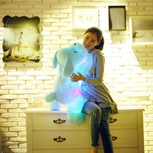 Peluche Personalizzato OEM di Alta Qualità 2026, Giocattolo Colorato Luminoso e Adorabile a Forma di Cucciolo, Regalo per Bambini - Product Image 3