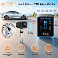 Sensor Interno TPMS para Automóviles, Monitor Adhesivo, Batería de 210 mAh, Rango de 90-800 kPa para Todos los Coches, Personalización OEM y Dropshipping