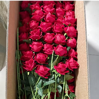 E gros faux velours roses décoration intérieure velours de soie fleurs roses artificielles pour la décoration de fenêtre d'affichage de fête de mariage