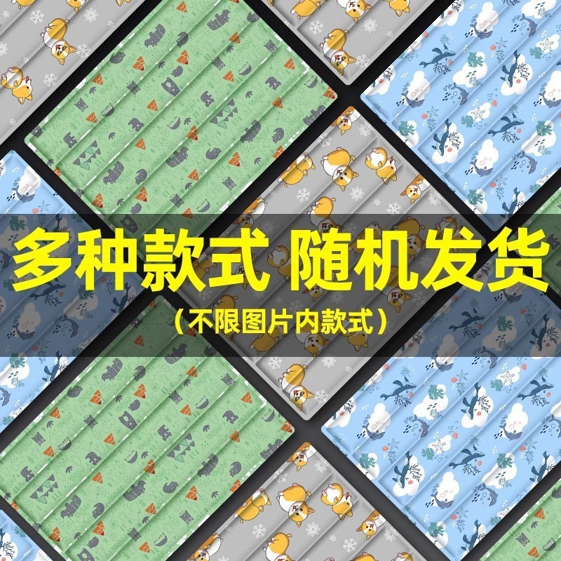 [Ice Pad] Various colors and styles available (random selection)
