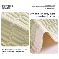 Tapis rafraîchissant en soie glacée pour animaux de compagnie, coussin d'été auto-refroidissant lavable avec gel rafraîchissant, tapis antidérapant pour cage pour chiots