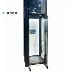 Arbre de maçonnerie de luxe 9m style de vie moderne mini ascenseur domestique
