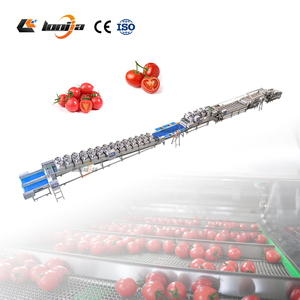 Línea Automática de Lavado y Secado de Tomates <span class=keywords><strong>Cherry</strong></span> de 2000 kg/h, Máquina Industrial de Limpieza de Frutas, Lavadora de Vegetales por Burbujas - Product Image 6