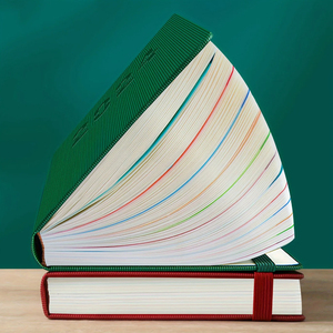 2025 Tùy Chỉnh Màu Xanh Điều Hành Da A5 Máy Tính Xách Tay Hàng Ngày Kế Hoạch Chương Trình Nghị Sự Ngân Sách Chiến Thuật Trống Nhật Ký Món Quà Giáng Sinh - Product Image 3