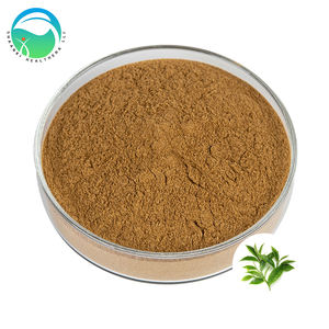 Extracto de Té Verde Herbal en Polvo Premium al por Mayor Personalizable 10:<span class=keywords><strong>1</strong></span> 20:<span class=keywords><strong>1</strong></span> Soluble en Agua Suplemento de Grado Alimenticio Puro - Product Image 2