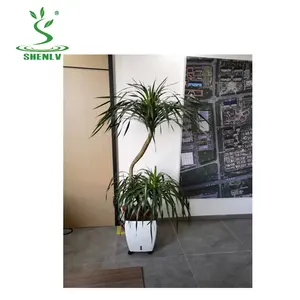 Pot bunga plastik 15 inci 39cm Modern dalam ruangan taman balkon dekorasi pot bunga persegi