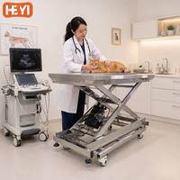 Table d'examen vétérinaire électrique réglable en hauteur en acier inoxydable, équipement pour clinique vétérinaire, hôpital, examen des chiens et des chats