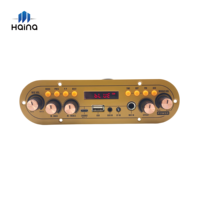 Placa Amplificadora de Potencia para Karaoke de Alta Calidad, 60W, Doble Canal, para Cajas de Altavoces Portátiles DIY