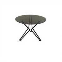 Table basse moderne mobile en métal et verre Lumetal, revêtement poudré, Vietnam, pour salon intérieur, garantie 1 an, OEM disponible