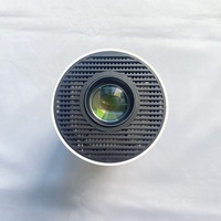 Mini Proyector Portátil Económico Compatible con 720P HDMI USB, Proyector de Bolsillo para Niños y Uso Doméstico
