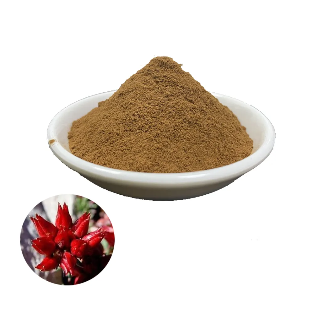 Factory Supply Puur Natuurlijke Organische Salidroside Rhodiola Rosea Extract Poeder