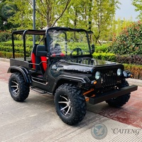 Caiteng Buggy tout-terrain 200cc/250cc essence/électrique, mini-jeep homologué pour la route, véhicule de tourisme automatique