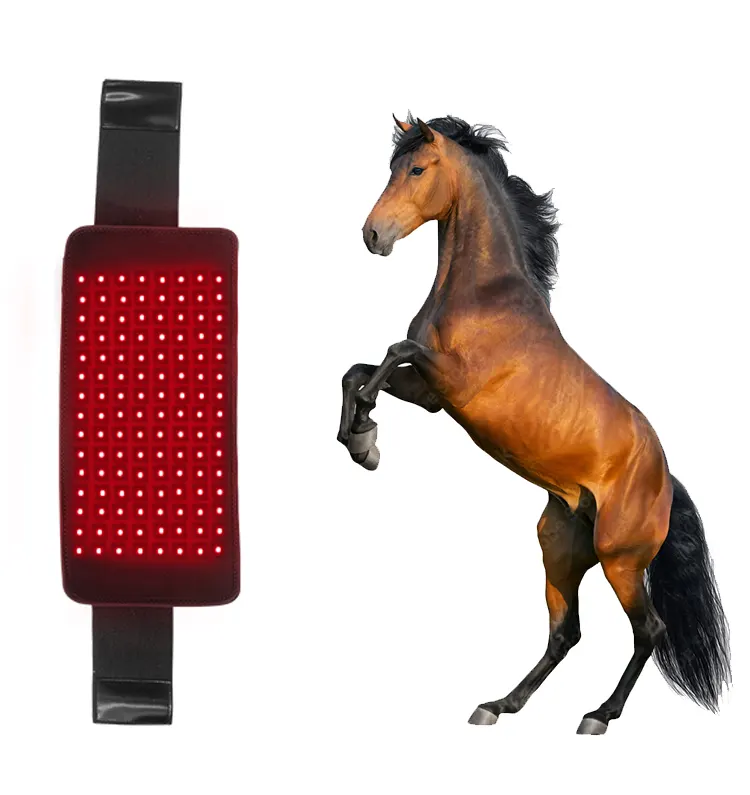 Animal Horse Pet Use Pulsed Led Therapy Pad 660nm 850nm Red Infrared Belt Affordable Led Healing Therapy Light