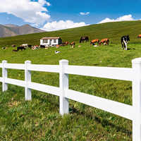 Clôture de propriété en PVC vinyle à 2 rails, économique, pour pâturage de chevaux, kit de piquets de ranch, légère, facile à assembler, pour ferme, modélisation 3D